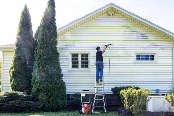 Best Best Pressure Washing Companies  in Chicopee, MA